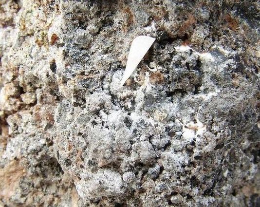 Nerost brianyoungit - Německo (1)