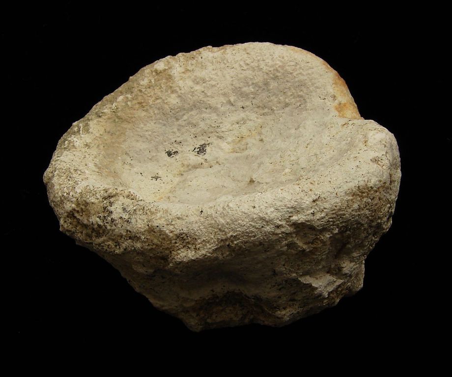 Fosilní houba Cytoracea variabilis - Polsko (5)