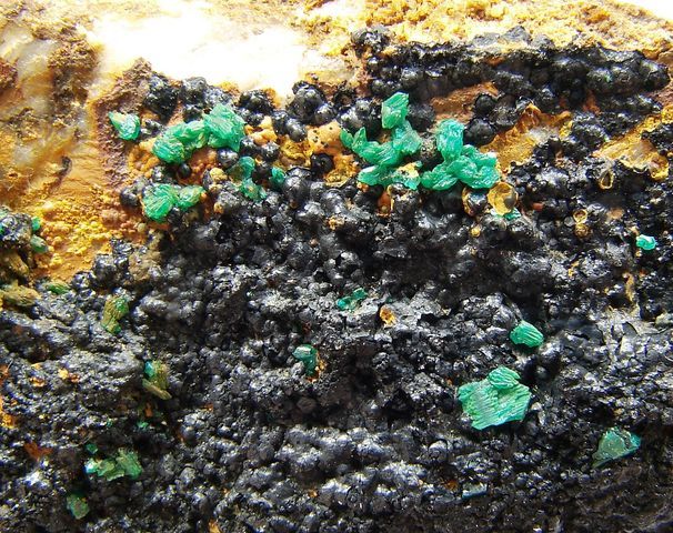 Nerost euchroit - Slovensko (6)