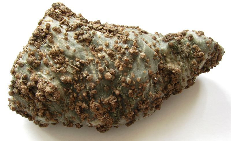 Nerost grossular -  Modra, Slovensko (8)