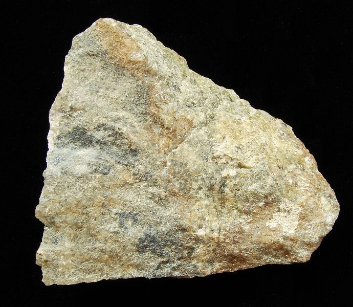 Nerost strunzit - Německo (9)